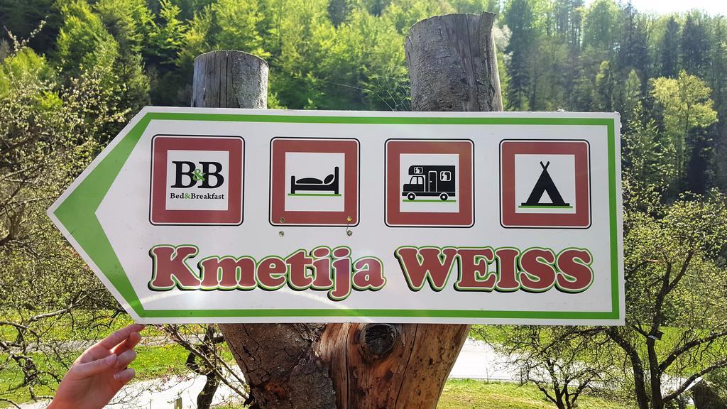 Villa Turisticna Kmetija Weiss à Miklavz pri Taboru Extérieur photo