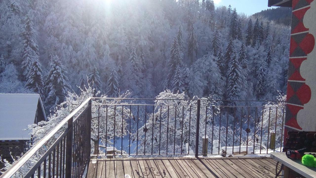 Villa Turisticna Kmetija Weiss à Miklavz pri Taboru Extérieur photo