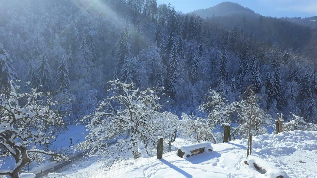Villa Turisticna Kmetija Weiss à Miklavz pri Taboru Extérieur photo