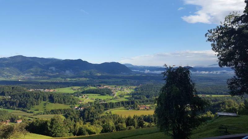 Villa Turisticna Kmetija Weiss à Miklavz pri Taboru Extérieur photo