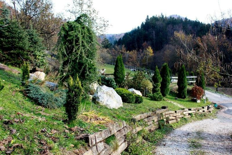 Villa Turisticna Kmetija Weiss à Miklavz pri Taboru Extérieur photo