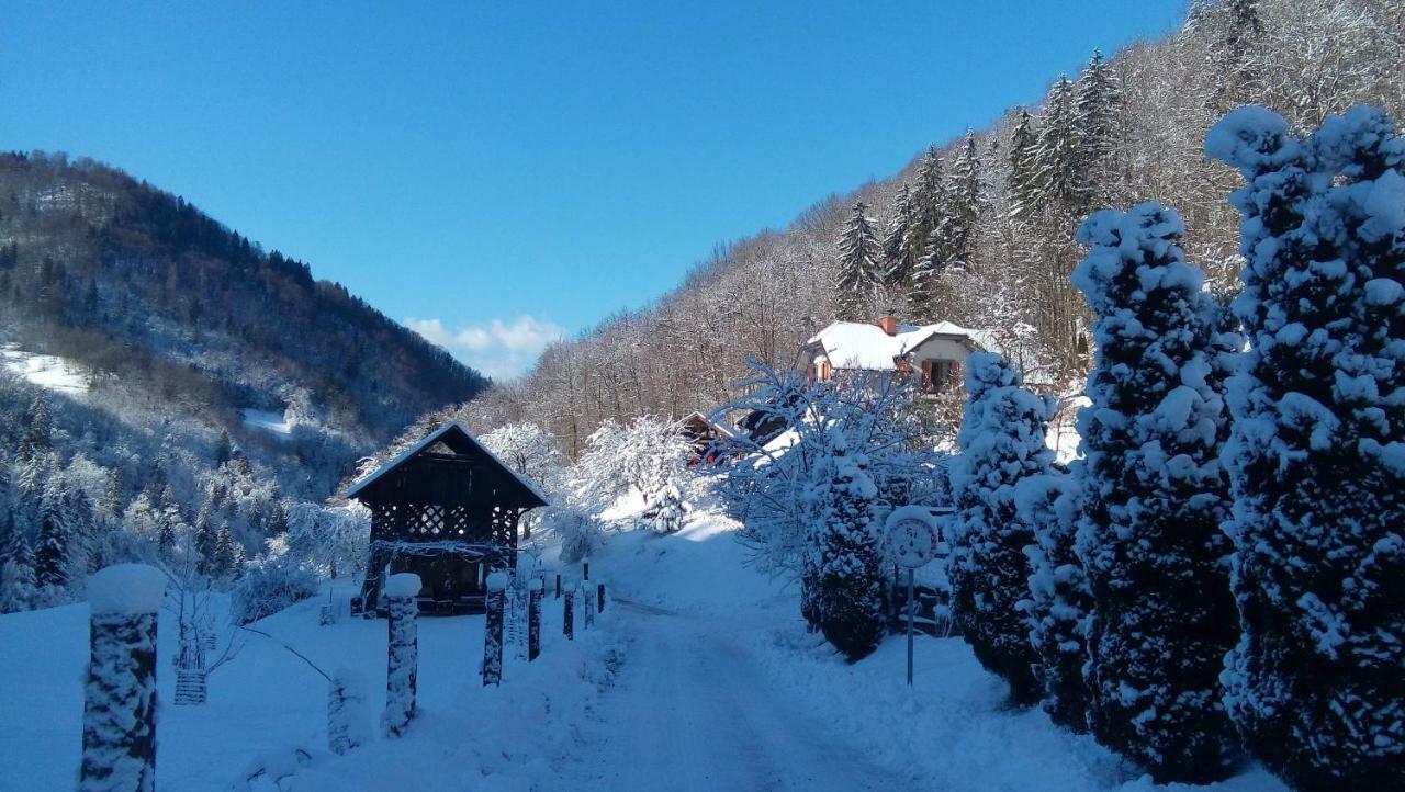 Villa Turisticna Kmetija Weiss à Miklavz pri Taboru Extérieur photo