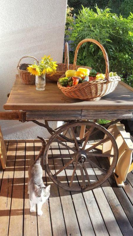 Villa Turisticna Kmetija Weiss à Miklavz pri Taboru Extérieur photo